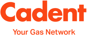 Customer logo