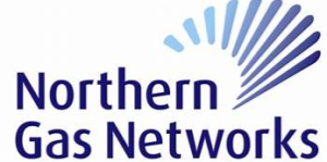 Customer logo